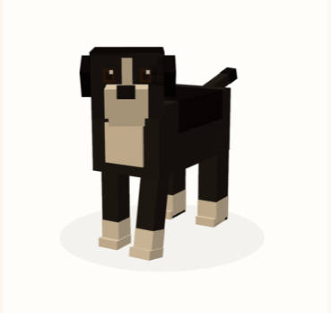 Blocky 3D Bernese